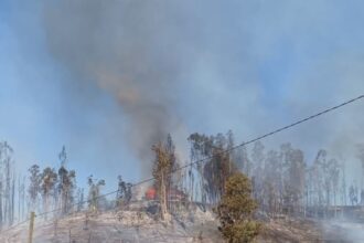 Tragedia en Maule: Anciana de 82 años fallece atrapada por incendios forestales