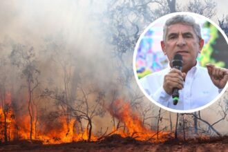 Alcalde de Hualqui solicita toque de queda por incendios forestales