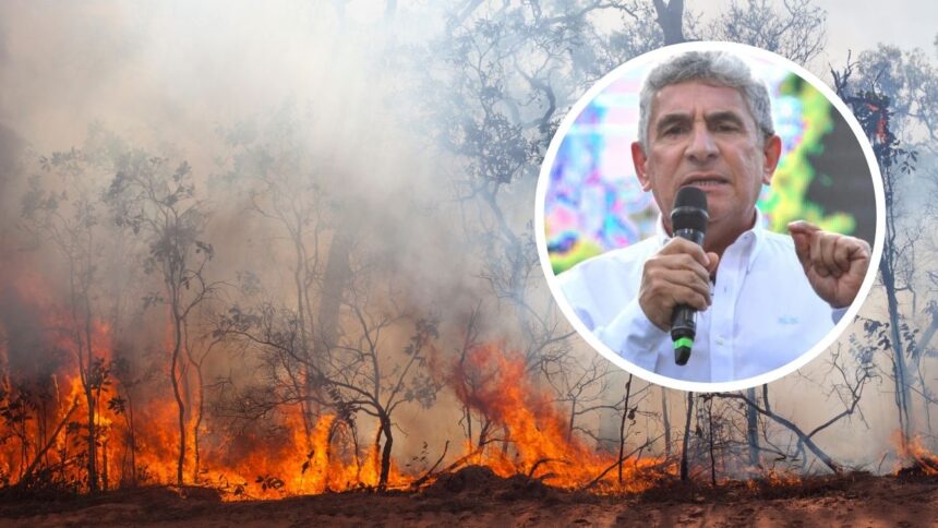 Alcalde de Hualqui solicita toque de queda por incendios forestales
