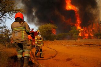 Incendios en La Araucanía: 16 siniestros activos y medidas preventivas