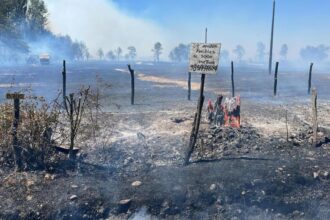 Devastadores incendios consumen 3.228 hectáreas en Malleco, La Araucanía
