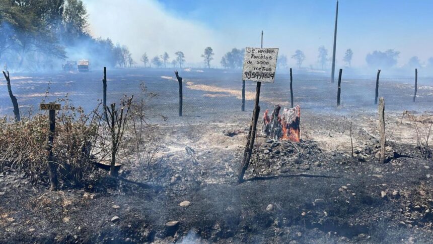 Devastadores incendios consumen 3.228 hectáreas en Malleco, La Araucanía