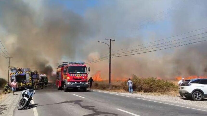 Detenidos por iniciar incendio en Coihueco y evacuaciones en Ñuble