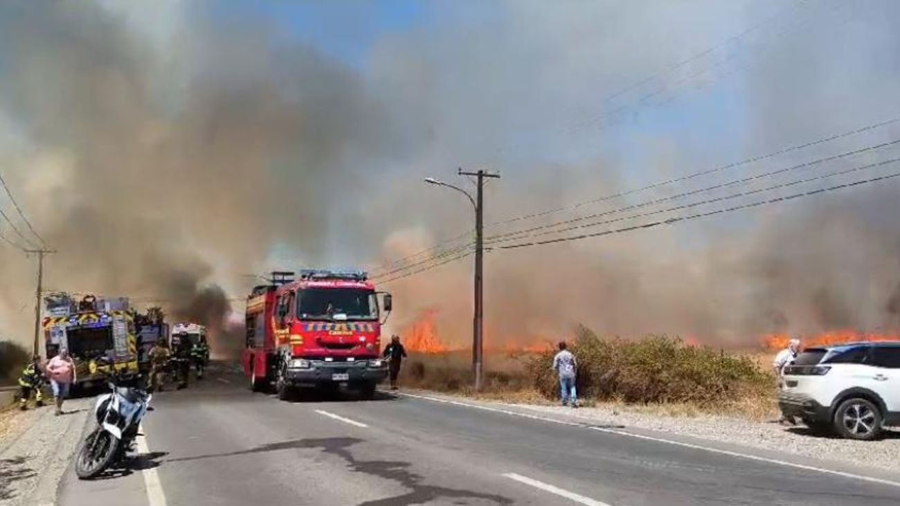 Detenidos por iniciar incendio en Coihueco y evacuaciones en Ñuble Detenidos por iniciar incendio en Coihueco y evacuaciones en Ñuble