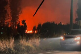 Incendio forestal amenaza zona urbana de Collipulli en La Araucanía