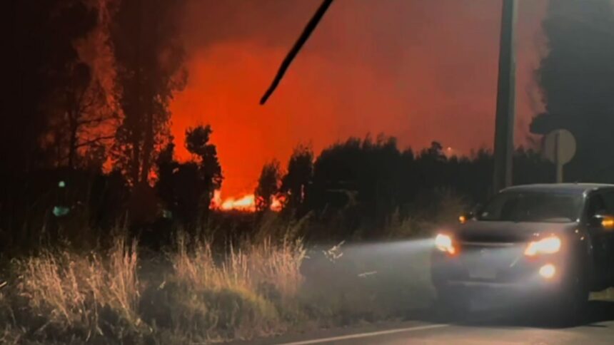 Incendio forestal amenaza zona urbana de Collipulli en La Araucanía
