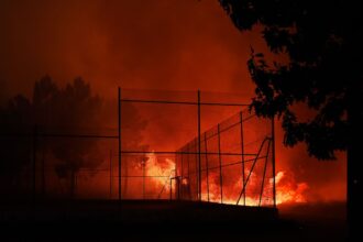 Alerta roja en La Araucanía por incendios forestales: 9 en combate