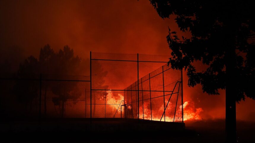 Alerta roja en La Araucanía por incendios forestales: 9 en combate