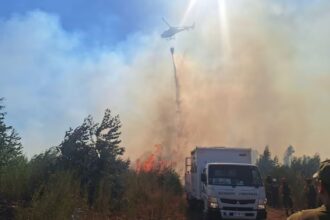 Incendios en Mulchén y Punta de Parra: Situación crítica persiste