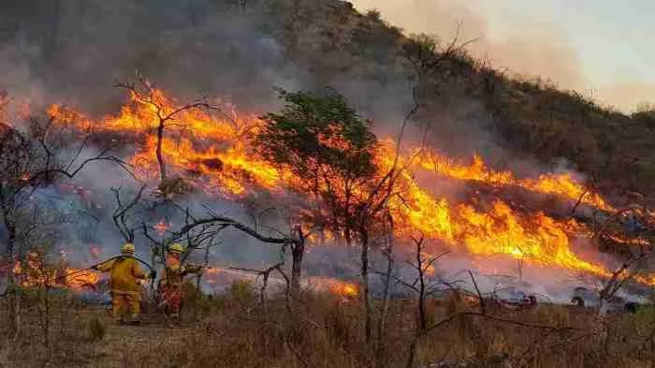 Incendios forestales devastan la Patagonia: más de 35 mil hectáreas consumidas Incendios forestales devastan la Patagonia: más de 35 mil hectáreas consumidas
