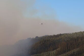 Alerta Roja Regional en el Bío Bío por Incendios Forestales