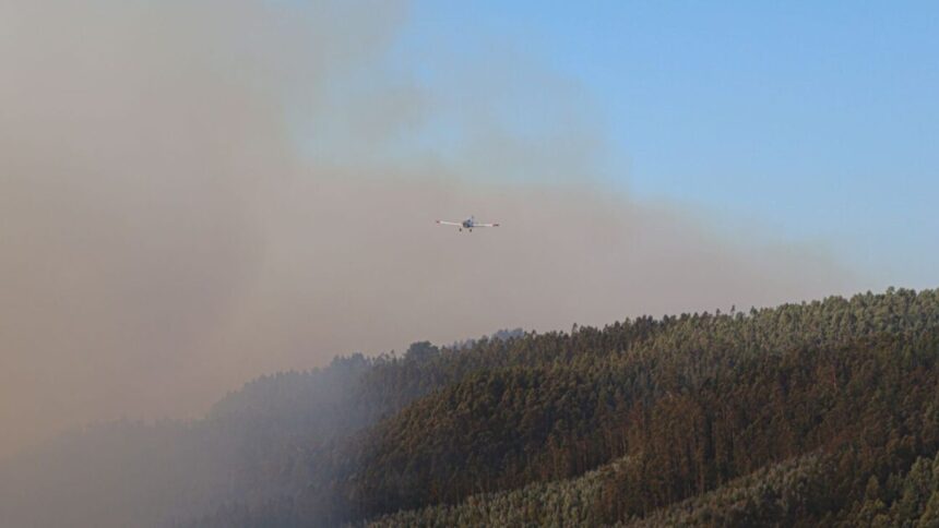 Alerta Roja Regional en el Bío Bío por Incendios Forestales