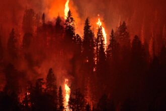 Focos simultáneos incendio La Araucanía: posible intencionalidad por territorio