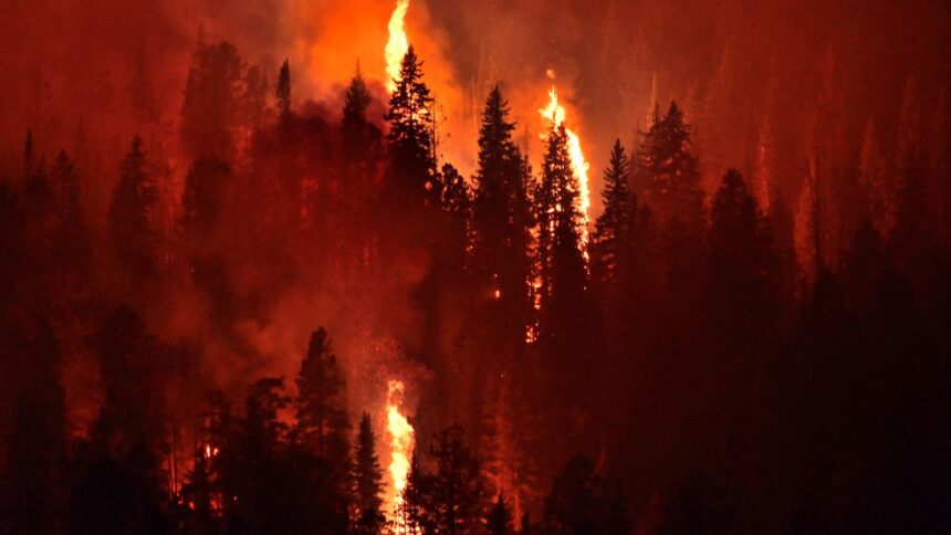 Focos simultáneos incendio La Araucanía: posible intencionalidad por territorio