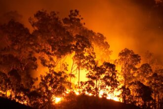 Posible intencionalidad detrás de los incendios en La Araucanía