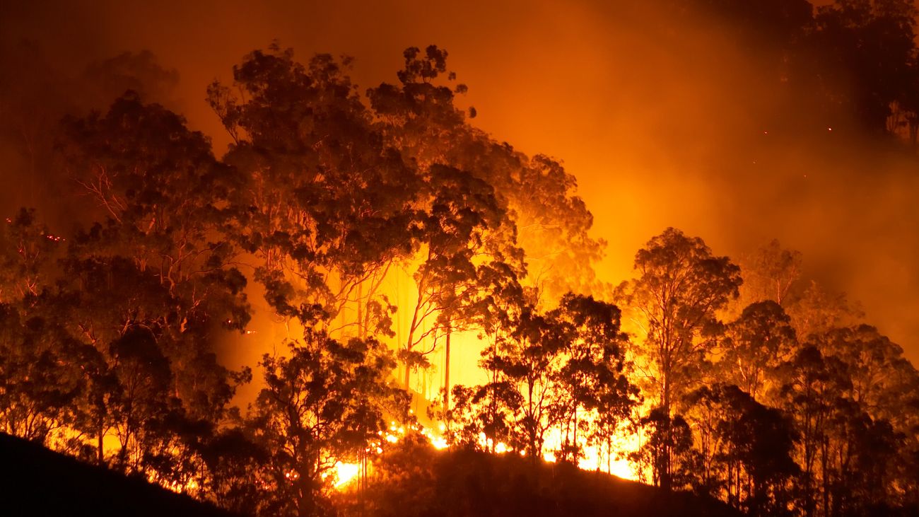 Posible intencionalidad detrás de los incendios en La Araucanía Posible intencionalidad detrás de los incendios en La Araucanía