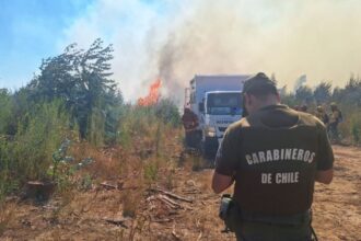 Turistas atrapados en túnel durante incendios forestales en Tomé, Biobío