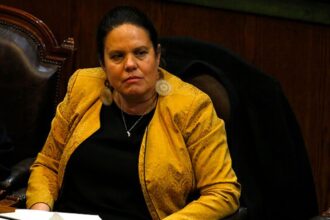 Tribunal Constitucional rechaza requerimiento de inhabilidad contra ministra de Defensa