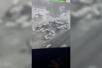 Fiestas clandestinas en Caleta Lenga: Vecinos piden más seguridad y control