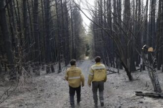 Alerta en Chile por mega incendio en frontera con Argentina