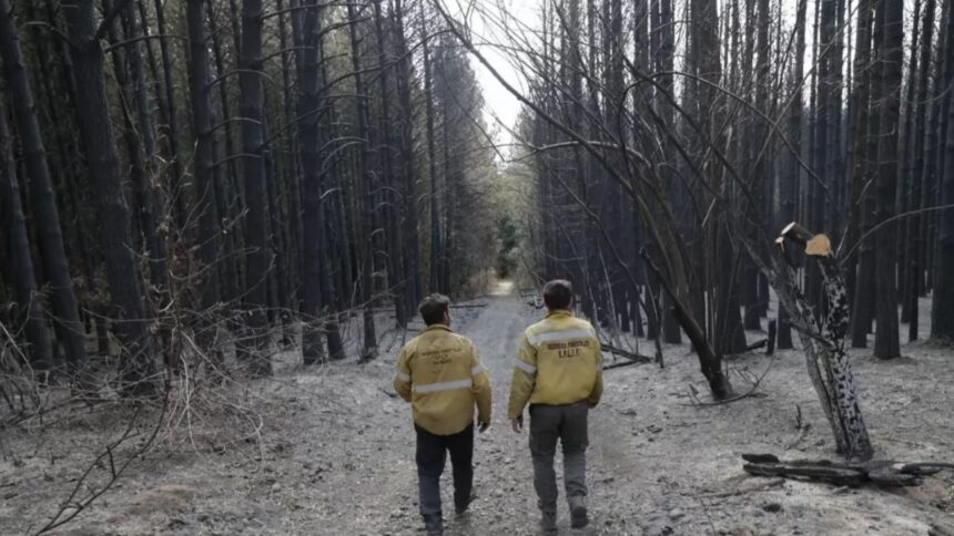 Alerta en Chile por mega incendio en frontera con Argentina