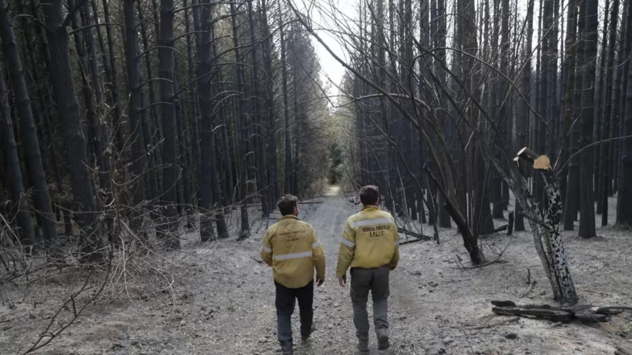 Alerta en Chile por mega incendio en frontera con Argentina