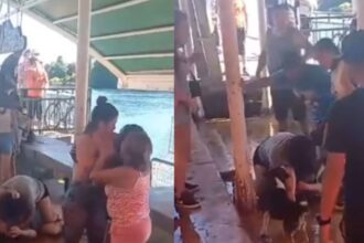 Violenta riña en la feria fluvial de Valdivia: comerciantes ilegales responsables