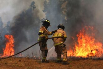 Imputados por incendio en Coihueco, Ñuble: formalizados pero sin prisión preventiva