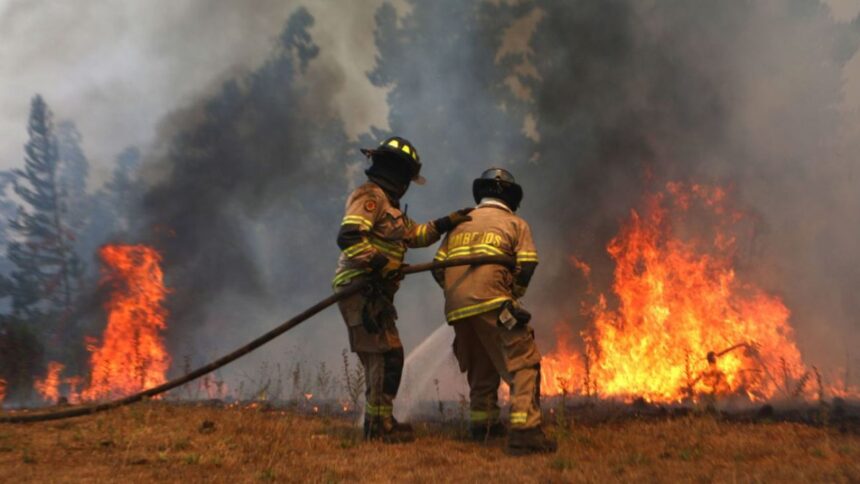 Imputados por incendio en Coihueco, Ñuble: formalizados pero sin prisión preventiva