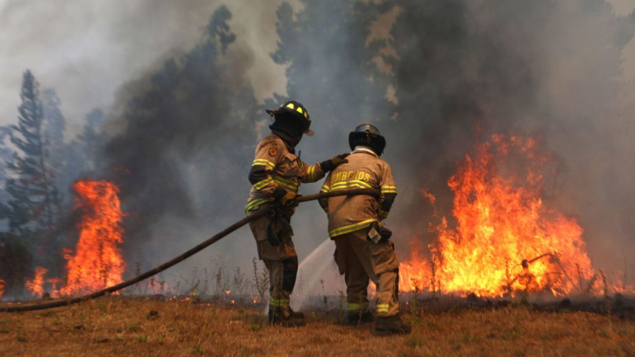 Imputados por incendio en Coihueco, Ñuble: formalizados pero sin prisión preventiva Imputados por incendio en Coihueco, Ñuble: formalizados pero sin prisión preventiva