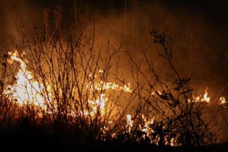 Detienen a presunta autora de incendio forestal en Galvarino
