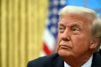 Chile en alerta por aranceles de Trump: Impacto en exportaciones de US$286,6 millones