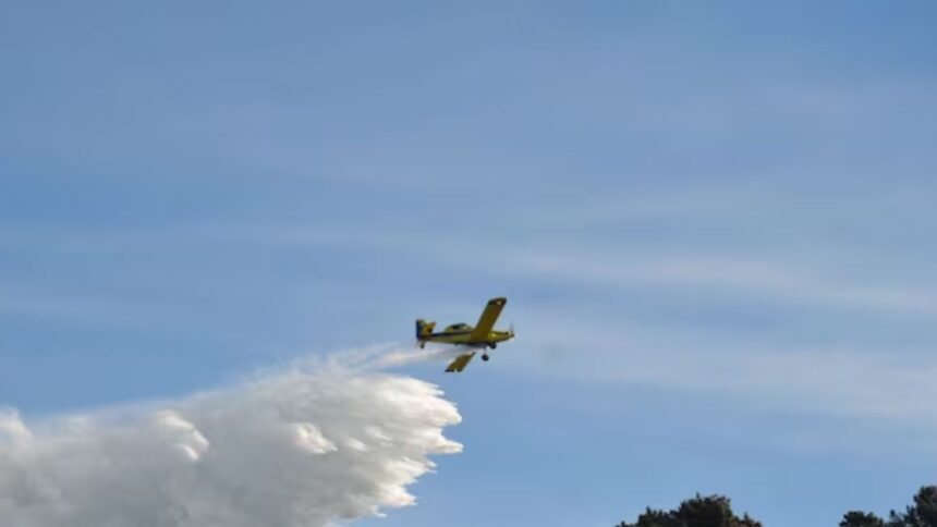 Incendio en Valdivia: posible causa eléctrica y movilización de recursos