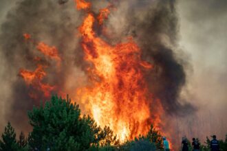 Detenida persona por incendio en Chile: 15 arrestos desde el jueves