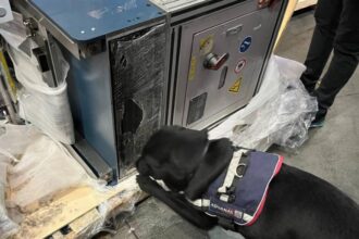 Desarticulan organización criminal y decomisan metanfetamina en Aeropuerto de Santiago