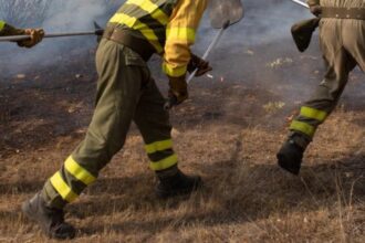 Evacuación en Traiguén por incendios forestales: importancia de la prevención