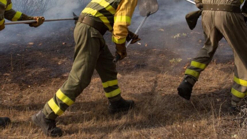 Evacuación en Traiguén por incendios forestales: importancia de la prevención
