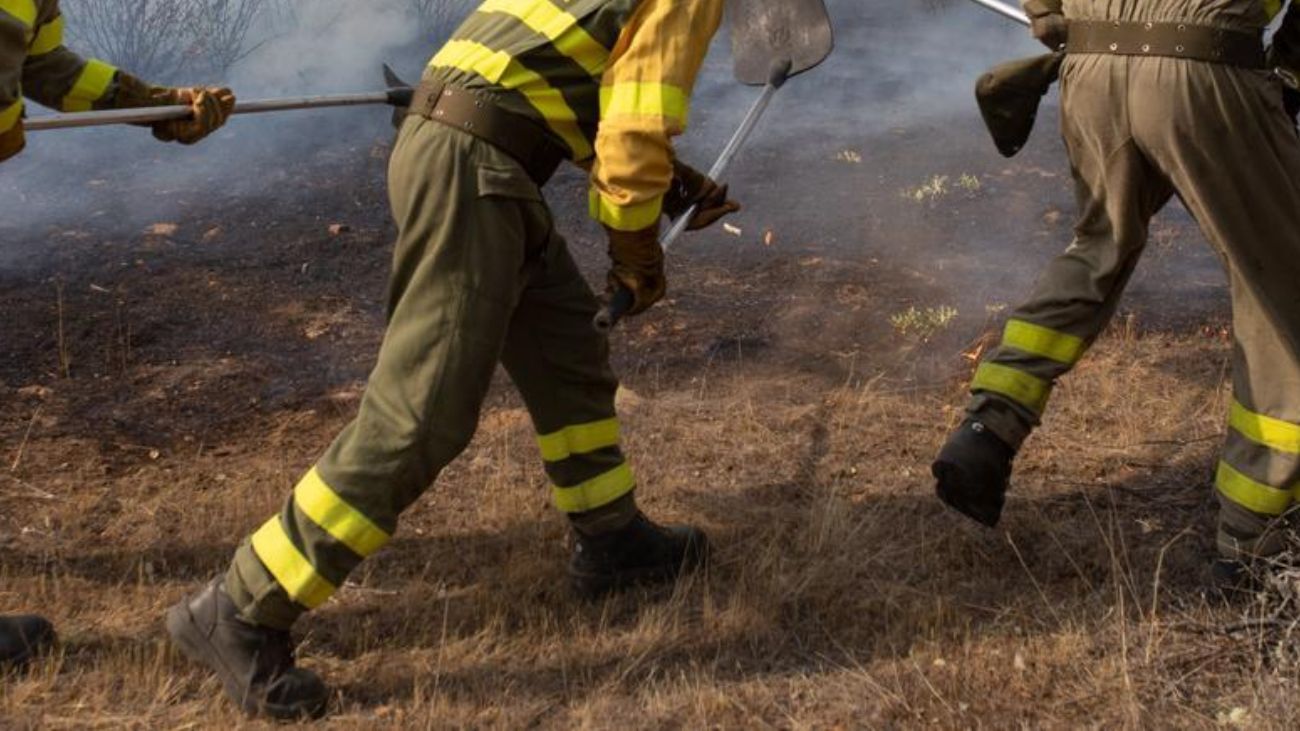 Evacuación en Traiguén por incendios forestales: importancia de la prevención Evacuación en Traiguén por incendios forestales: importancia de la prevención