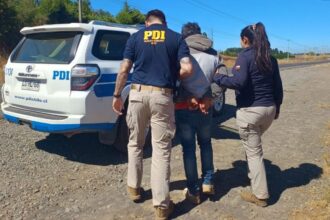 Detenido presunto femicida en Ñuble: antecedentes del agresor y detención