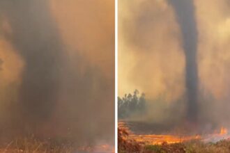 Impactante tornado de fuego durante incendio forestal en Chile: explicación y video