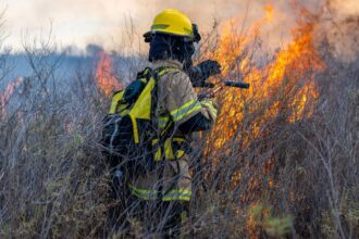 Incendios forestales en Chile: Alertas Rojas y Amarillas se mantienen