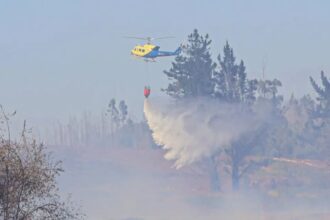 Emergencia por incendios forestales en La Araucanía: afectados y evacuados