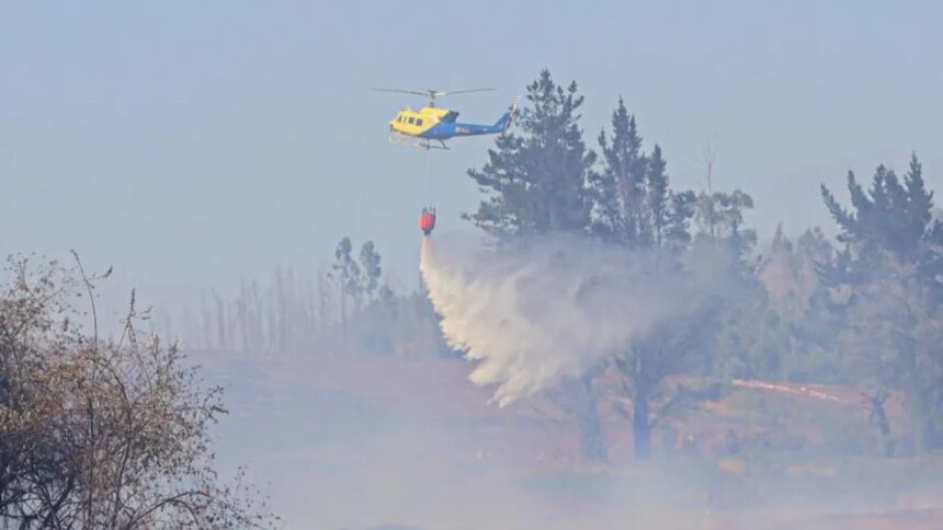 Emergencia por incendios forestales en La Araucanía: afectados y evacuados
