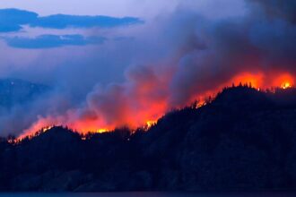 Incendios forestales en Chile: disminuyen pero aumenta la superficie afectada