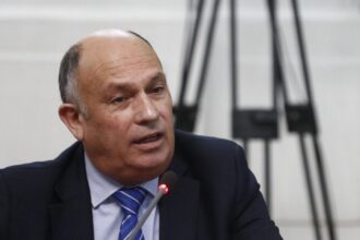 Acusan a ex delegada de Bío Bío por sobrepagos y muerte de lobos