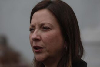 Natalia Piergentili renuncia a vicepresidencia del PPD por motivos personales