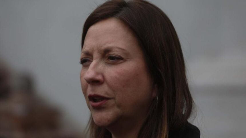 Natalia Piergentili renuncia a vicepresidencia del PPD por motivos personales