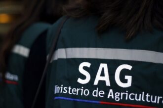 Frutas de Chile critica recorte millonario al Servicio Agrícola y Ganadero