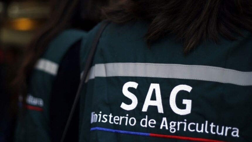 Frutas de Chile critica recorte millonario al Servicio Agrícola y Ganadero