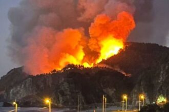 Incendio forestal en Lebu: emergencia activa en Playa Millaneco